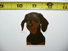 DACHSHUND SMALL STICKER DECAL PIN POINT ATTENTION DOG SO PET PRIDE