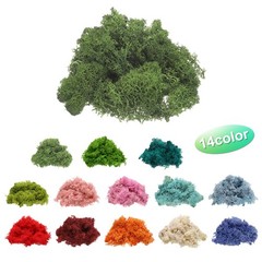 Preserved Reindeer Moss 4oz Fake Moss for Crafts Dark Green