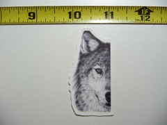 PARTIAL WOLF FACE SMALL STICKER DECAL DOG WILD ANIMAL FUNNY