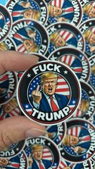 Anti Trump Sticker 10 Pack Funny Political Meme Vinyl Decal 2×2 Waterproof