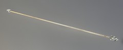 Italian c 1920 Solid Brass Tapestry Rod Florentine Fleur de Lis 56”