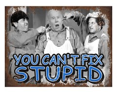 Joe Biden, You Can’t Fix Stupid 9»x12» Alum, Metal sign, Vintage sign