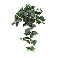 Frosted Pothos Bush of 8 Stems 34in With 155 Leaves