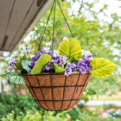 20 In. Dia Black Metal Hanging Basket with Coco Liner