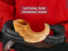 Natural Ram Horn Paperweight, Decorative Home Décor, 10-12 Inches – Novelty Gift