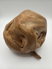 Natural Wood Burl Sculpture – Organic Root Knot – Smooth Driftwood Art Object
