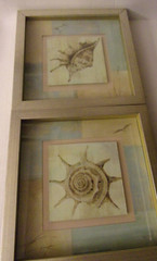 Shells – Square Wood Frames – Pictures 13.5″ x 13.5″ x 1.5″ Vintage Sea Decor
