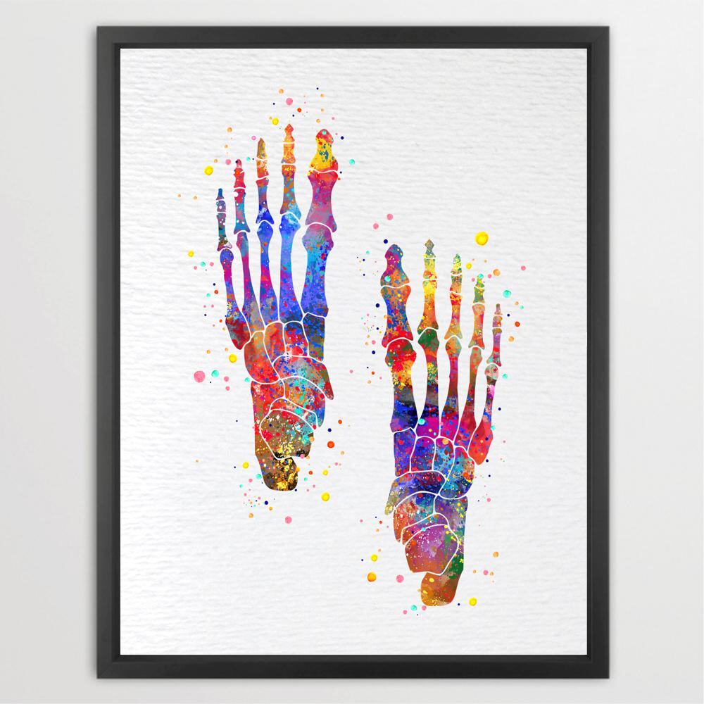 Dignovel Studios Foot Bone Human Anatomy Medical Science Watercolor Art Print