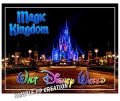 DISNEY WORLD MAGIC KINGDOM photo fridge MAGNET 4 X 3 inches TRAVEL