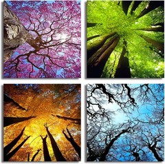 Elegant 4-Panel Four Seasons Tree Canvas Art – Nature Wall Decor 12x12in