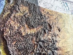 Real 3D raised relief map of the United States – with touchable mountain peaks.