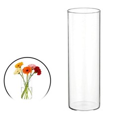 Clear Cylinder Vases 6 Inch Tall Glass Flower Vase for Table Decor 8oz