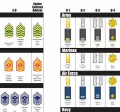 US Military Ranks Poster, United States Enlisted and Officer Insignia Poster Art