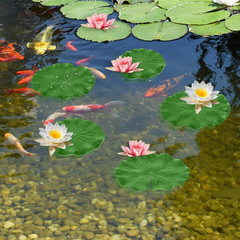 6Pcs Fake Lily Pads, 3 Sizes Floating Artificial Lily Pads Decorations