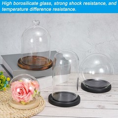 9.8″x3.9″ Clear Cloche Glass Dome Glass Bell Jar Display with Wooden Base
