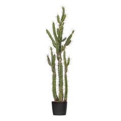Pemberly Row 56.5″ Plastic Artificial Cactus with Black Planters Pot in Green